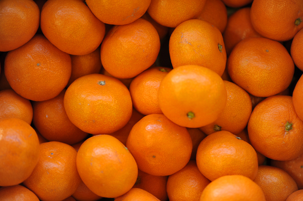 0109 orange DSC_4450.jpg